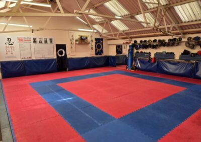 Kobukan UK Taikai - The Horin dojo in Chester, UK.