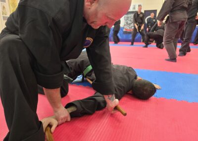 2025 UK Taikai Hanbojutsu - Pinning with the hanbo