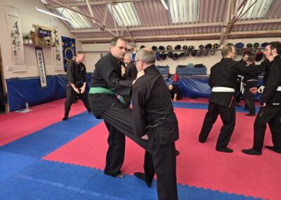 2025 UK Taikai Koto Ryu Koppojutsu - Two UK students practice Yokuto.