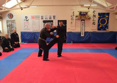 2025 UK Taikai Koto Ryu Koppojutsu - Kancho demonstrates Yokuto.